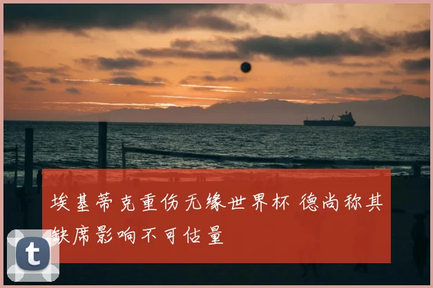 埃基蒂克重伤无缘世界杯 德尚称其缺席影响不可估量