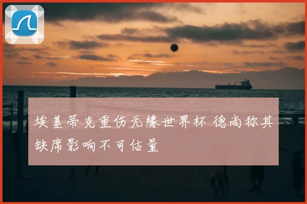 埃基蒂克重伤无缘世界杯 德尚称其缺席影响不可估量